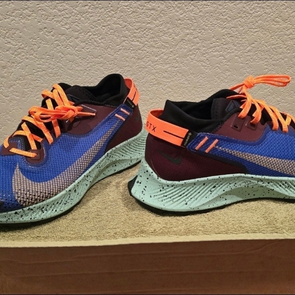 Nike Pegasus Trail